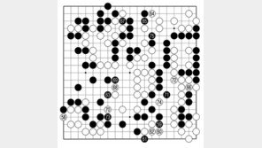[바둑]보소프트컵 세계인공지능바둑대회… 긁어 부스럼