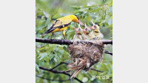 밥 먹자, 아가![고양이 눈]
