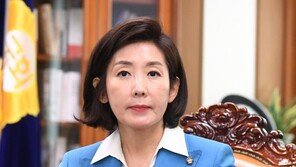 나경원 “北목선 국조·정경두장관 해임 추진…특위연장 별개”