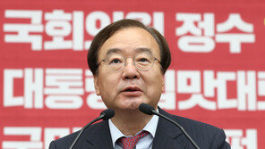 ‘회동 어렵다’던 강효상 “예측 빗나가 다행…트럼프 추진력 감탄”