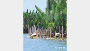 이루어질 수 없는 사랑[고양이 눈]