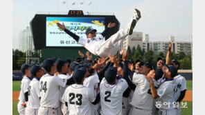 [청계천 옆 사진관]‘고교야구 르네상스’ 꿈꾸는 황금사자기 명장면