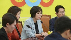 이정미 “한국당은 한반도평화에 ‘개그’…반대 위한 반대만”