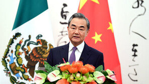 왕이 “3차 북미 정상회담 개최 ‘시진핑 방북’ 덕분” 자찬