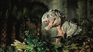 영화 속 주인공처럼… 티라노사우루스를 만나다