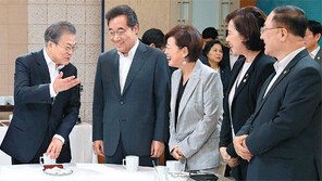 北美 비핵화 진전 불투명한데… 文대통령, 사실상 종전선언 규정