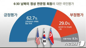 남북미 정상 판문점 회동, 긍정평가 63% vs 부정평가 29%