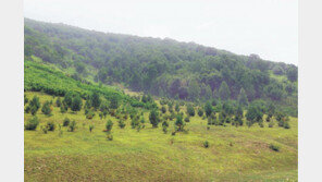 파주-연천 접경지역 땅 특별 매각