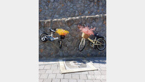 날아라 자전거[고양이 눈]