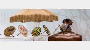 울긋불긋 알록달록… 여름이 활짝 피었습니다