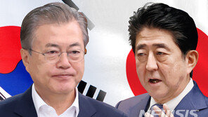 “日자민당 ‘對韓 수출규제, 선거유세 때 강조하라’ 전략 내놔”