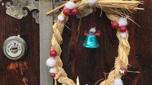 하이브리드[고양이 눈]