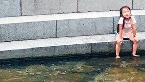 같이 놀자[고양이 눈]