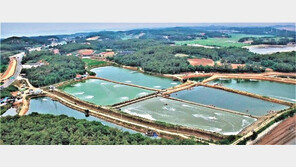 영주에 실내양식장 부지 확보… 준조합원 자격 투자자 모집