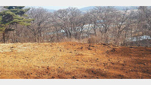 서울 강남과 가까운 성남 그린벨트, 17계좌 공급