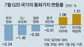 [단독]이달들어 원화가치 G20중 최대폭 하락