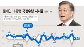 文대통령 지지율, 日 경제 보복에 급락…아베 의도대로?