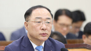 홍남기 “日 수출규제 대응 추경액 1200억원보다 커질 것”