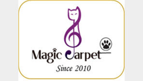 고양이모래 ‘매직카펫’, 올 상반기에 10만개…누적 판매량 50만 돌파