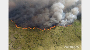 멕시코 유카탄반도 리조트·자연보호지구에 대형 들불