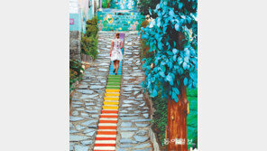 동화 속 마을[고양이 눈]