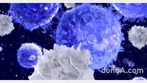 GC녹십자랩셀, ‘NK세포치료제’ 췌장암 항암 효과 논문 국제 학술지 게재