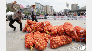 광화문 앞 양파 집어던진 농민들…“농산물값 폭락은 정부 책임”
