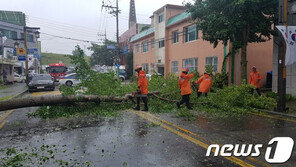 태풍 다나스는 소멸됐지만…부산에 이재민 9명 발생