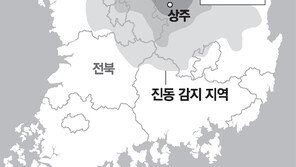 상주서 규모 3.9 지진… 서울-경기까지 ‘흔들’