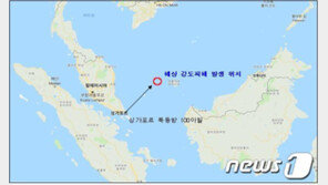 [속보]한국 화물선, 싱가포르 해협서 무장 해적에 피습