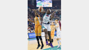 [최용석의 팁인] WKBL 동포선수 선발, 무엇을 위한 재도입인가