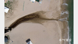 [청계천 옆 사진관]‘서핑천국’ 죽도해변 가로지르는 검은 물줄기, 정체는?