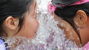 [퇴근길 한 컷]‘더위야 물러가라’ 성내천 물놀이장 찾은 어린이들