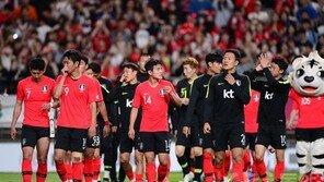 2022월드컵 예선 북한 원정 여부 8월 초 공개될 듯