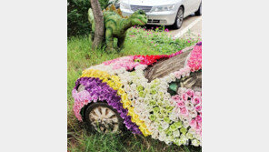 공룡도 꽃을 좋아해[고양이 눈]