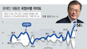 文대통령 국정 지지율 54.0%…반일 여론 확산에 9개월래 최고