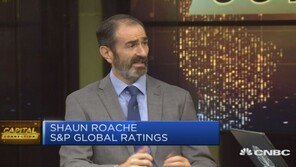 S&P 日에 직격탄 “반도체에 정치논리 들이대는 것은 바보짓”