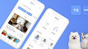 위탁 펫시터 ‘펫플래닛’·방문 펫시터 ‘와요’, 스프링캠프 투자 유치