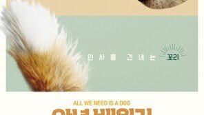 헨리 할리우드 도전작 ‘안녕 베일리’, 9월 개봉 확정