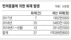 반려동물이 빈집 화재 범인… 상반기에만 10건 