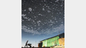 소금별[고양이 눈]