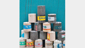 박물관으로 간 연탄[고양이 눈]