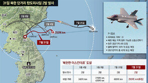 사드로 못잡는 30km 저고도… 패트리엇도 대응시간 촉박