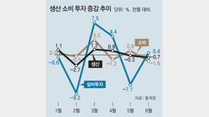 생산-소비 동반 부진… ‘경제체력 약화’ 커지는 우려