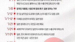 日 ‘韓 화이트국가 배제 강행’ 의지…“공은 청와대에” 주장도