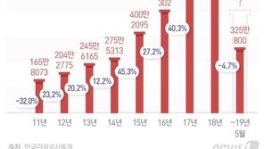 섬나라 구석구석 연결 노선…LCC엔 부메랑, 日엔 급소 ‘아이러니’