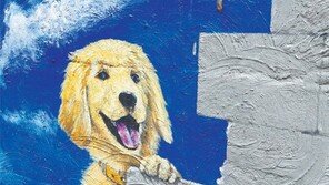 집 지키는 강아지[고양이 눈]