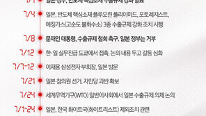 日, 결국 ‘한국 화이트국가 제외’ 강행