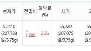 한·일 무역분쟁에 안전자산으로…금값 또 ‘신기록’