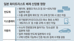 “日보복 칼, 언제 어떤 품목에 휘두를지 몰라”… 산업계 초긴장